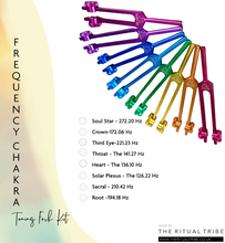 Load image into Gallery viewer, 14/01/2025 -Sound / Breathwork / Meditation Garden Immersion.